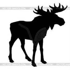 Foundation4_3_columns_square_moose