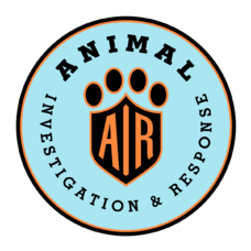 Foundation4_3_columns_square_air_logo_seal_solid_rgb_r1