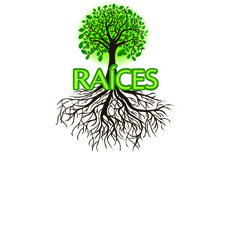 Foundation4_3_columns_square_raices_sin_transforma