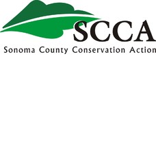 Foundation4_3_columns_square_scca_logo_final_color_high_res