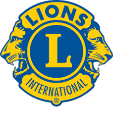 Foundation4_3_columns_square_lions_png